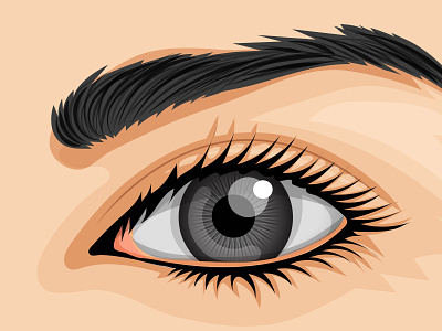 Realistic Eye Illustration cartoon portrait eye illustration graphic design illustration realistic eye vector