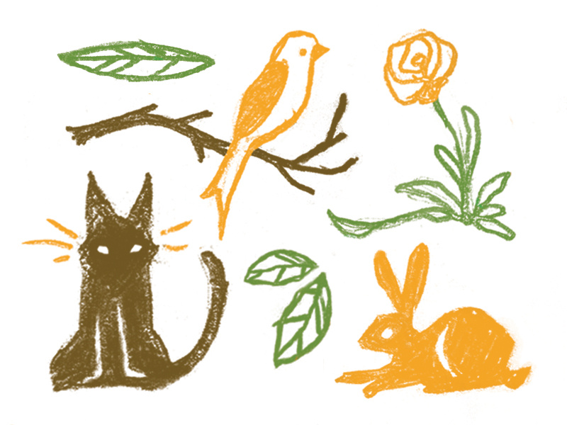 Secrets nature flower leaves rabbit cat bird texture handmade animal illustration handdrawn