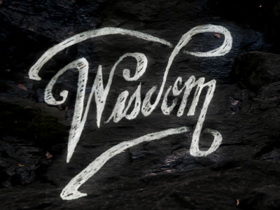 Wisdom chalk handlettering ink script type typography white wisdom