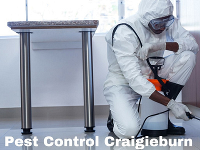 Pest Control Craigieburn pest control craigieburn