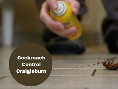 Cockroach Control Craigieburn cockroach control craigieburn