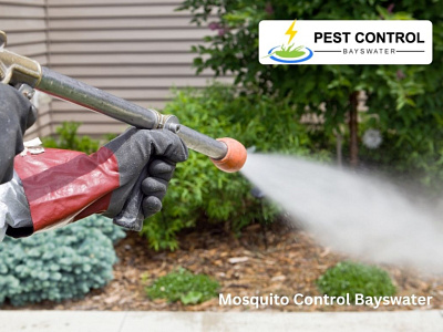 Mosquito Control Bayswater mosquito control bayswater