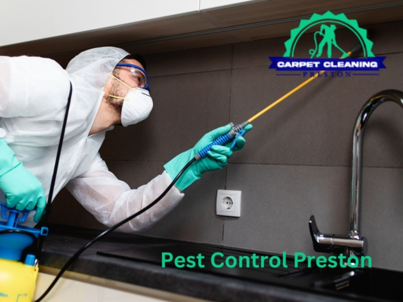 Pest Control Preston by Pest Library on Dribbble