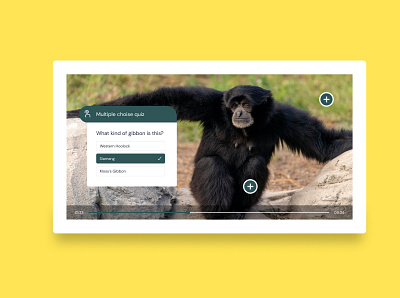 Interactive Video Elements choise elements interactive quiz ui videos