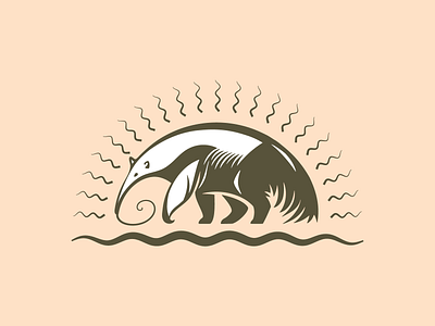 Anteater Sunrise adobe illustrator animal logo anteater branding design environment illustration logo mascot nature vector wild animals