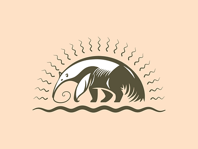 Anteater Sunrise