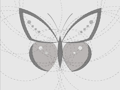 Golden ratio Butterfly branding design graphic design illustration logo