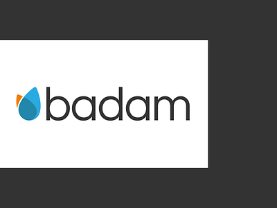 Badam Logo Research