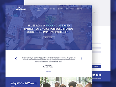 Bluebird-Home page homepage ui ux web webdesign website
