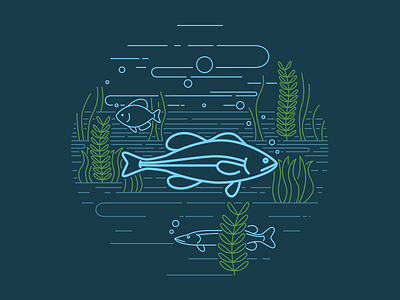 Largemouth Bass animals fish illustration midwest vector water