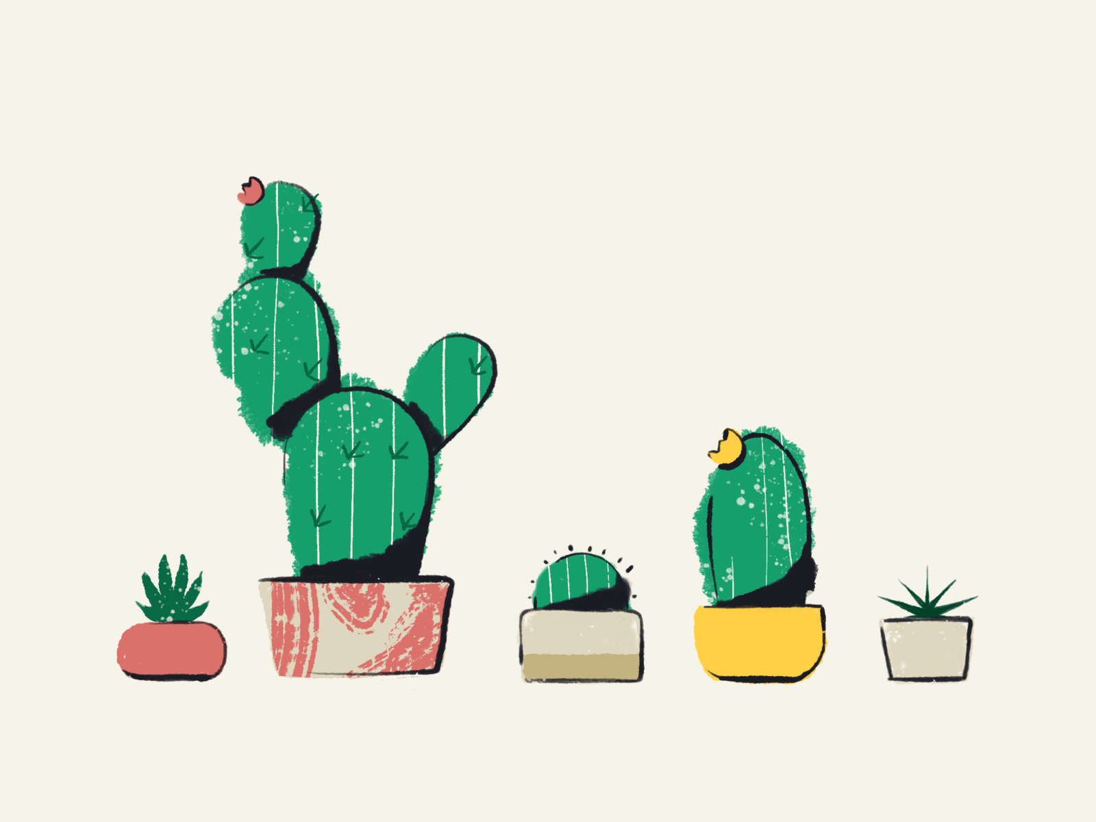 Succulents by Adam Eastburn on Dribbble