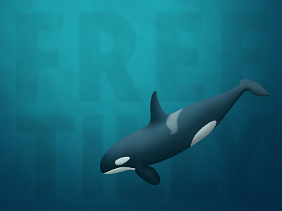 Free Tilly animal cause free illustration killer whale mammal ocean orca texture underwater vector whale