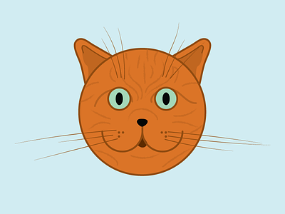 Sunny cat green eyes orange pet whiskers