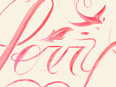 I'm sorry I'm not sorry bird cursive fancy hand lettering lettering little script sorry type typography