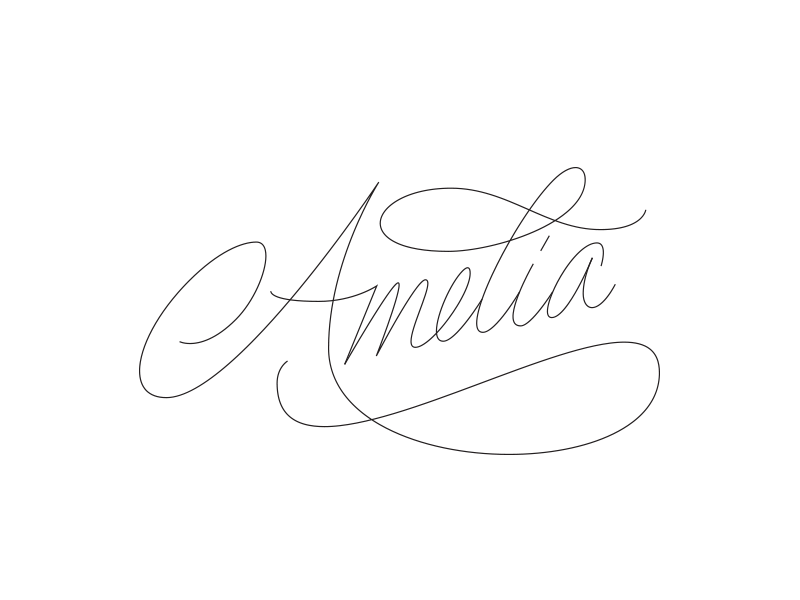 816 Amelia Street amelia classy curvy custom flourish handlettering handmade lettering orlando swash type typography