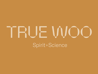 True Woo Brand Positioning & Identity Design branding