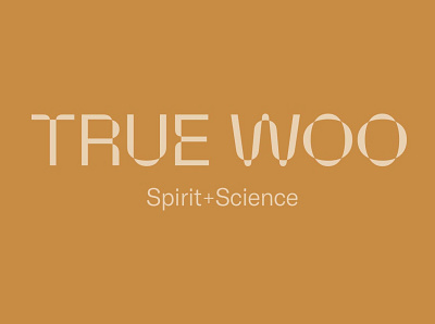 True Woo Brand Positioning & Identity Design branding