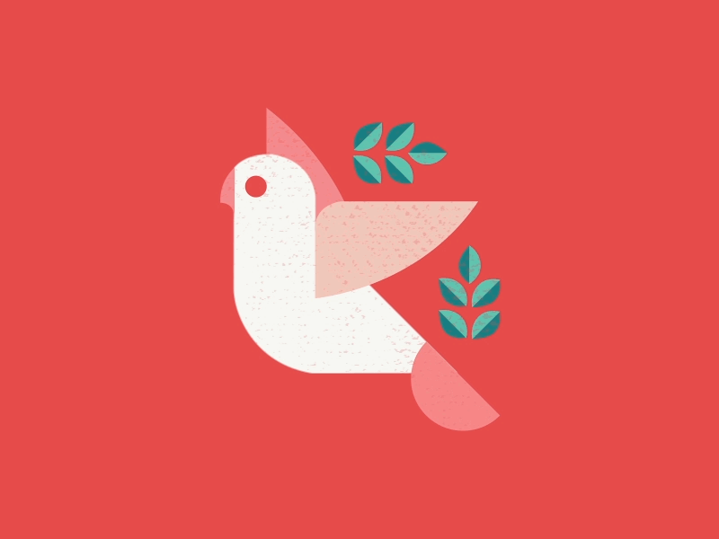 two turtle doves ae after animation bird design dove effects frame illustration leaves motion plant