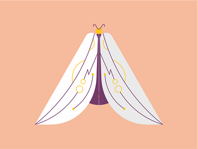 Imaginary Butterfly after effects animation butterfly design dribbble flowtuts fly illustration illustrator motion plant vector