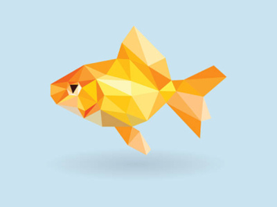 Fish you like you branding graphic design
