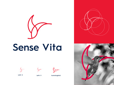Sense Vita logo - SV monogram - SV logo design bird logo bird logo design logo sv logo sv logo mark sv monogram sv symbol