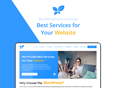 Big Web Services | UI/UX Design & Development