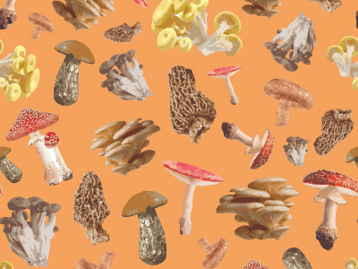 Mushrooms pattern fungi illustration mushroom mushrooms pattern patterns surface pattern design