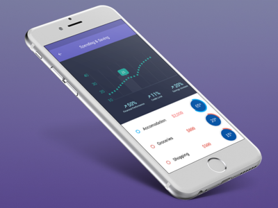 Data Visualization Banking app banking banking app data finance financial app mobile design ui ui design user interface ux design visualization