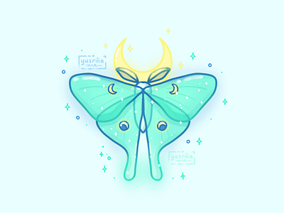 Luna Moth Designs Themes Templates And Downloadable Graphic Elements On Dribbble Luna Moth Designs Themes Templates And Downloadable Graphic Elements On Dribbble