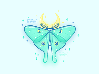 luna moth drawing