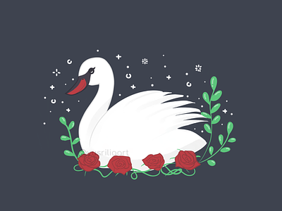 Swan animal bird fowl nature rose roses swan