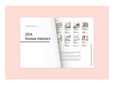 Finesse Interiors branding interior design logo design magazine print typography