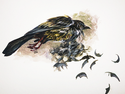 Deadbird bird bird illustration gouache gouache painting illustration painting