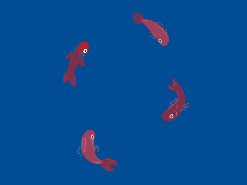 For Four Fishes animation fish food frame by frame water