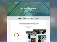 Homepage Redesign [Brandisty web]