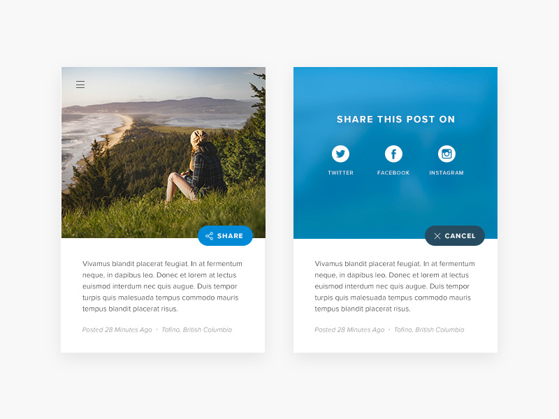 Daily UI #010 - Social Share by Scott Clark on Dribbble
