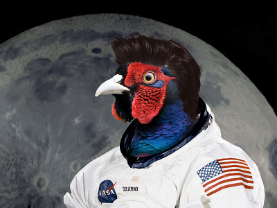 Sojerno In Space animal astronaut bird brand comedy composite conference funny nasa photoshop sojern space