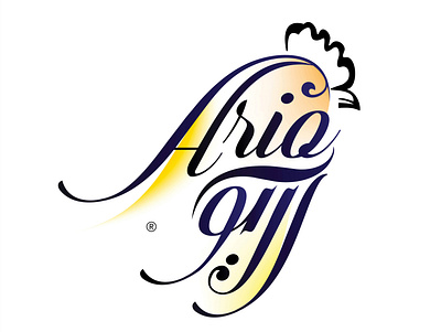 Ario branding design graphic design logo typography vector