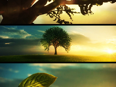 life and ...passing away 3d animation graphic design motion graphics