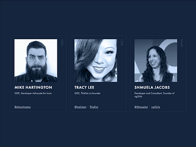 Speaker Highlight section for NgTalks 2019 animation cards conference hover interaction persons speakers team webflow
