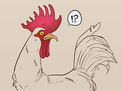 Rooster cock illustration rooster