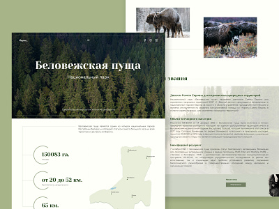 Longread "Belovezhskaya Pushcha" belovezhskaya pushcha design longread ui ux