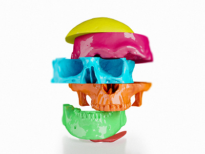 Colorful Human Skull