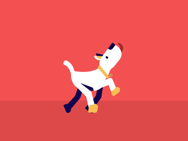 How do dogs wear shoes? — Part 1 animation character character animation character design design flat illustration motion motion design vector