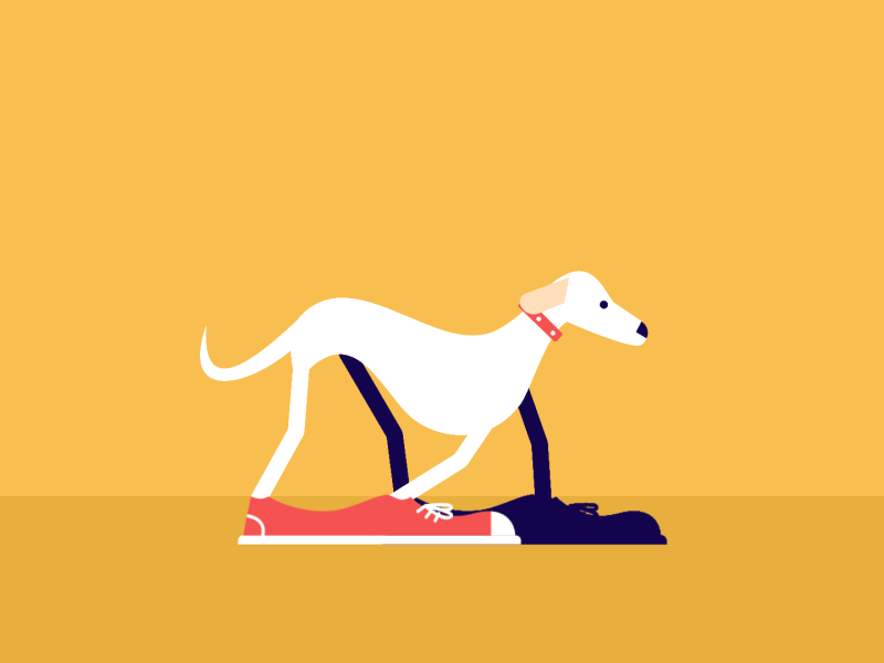 How do dogs wear shoes? — Part 2 animation character character animation character design design flat illustration motion motion design vector
