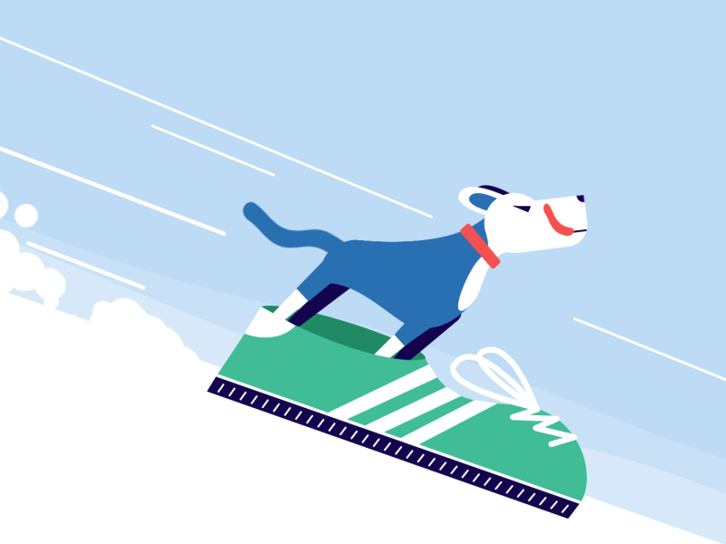 How do dogs wear shoes? — Part 3 animation character character animation character design design flat illustration motion motion design vector