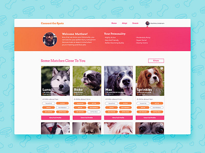 Finding a Buddy animals card dog layout pet pills profile puppy ui web