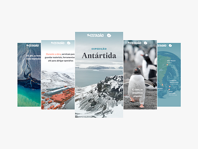 Antarctic Expedition: a visual story-like narrative