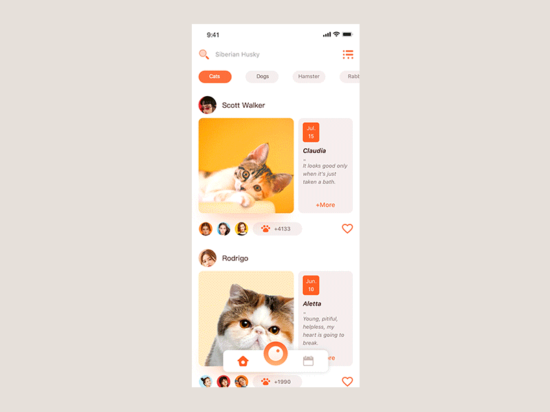 Pet community app