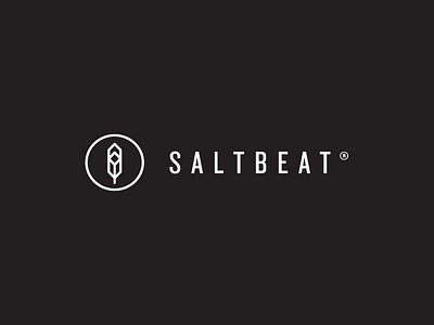 Saltbeat Logo identity kitesurf logo saltbeat sign
